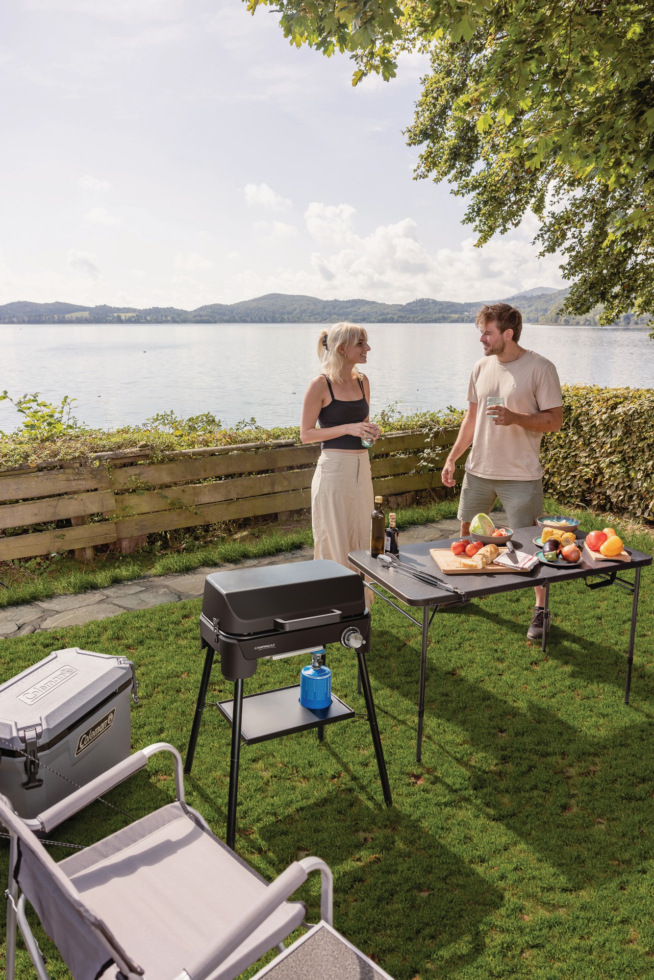 BBQ Tour & Grill CV Plus